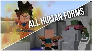 All Human Forms | Dragon Block C
