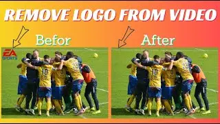 How to remove logo from video ?.