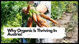 Why Is Organic Thriving In Austria?