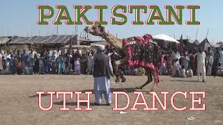 PAKISTAN UTH CAMEL DANCE SINDHI SAFIT 2020 THAR BAHRM BARI ghulam nabi chandio pakistansports game