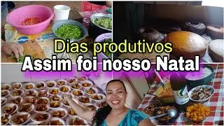 ROTINA EM DIA DE RENOVAÇÃO NO SÍTIO/ DIAS PRODUTIVO/NOSSO NATAL🥰#vlogcomigo #rotinadodia  