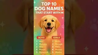 Top 10 Dog Names That Start with M | Most Popular & Cute Puppy Names 2025