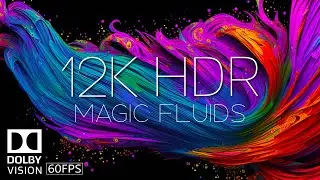 MAGIC FLUIDS - 12K HDR 60FPS DOLBY VISION - MACRO COLORS - HDR VISUALS - FLUID ART