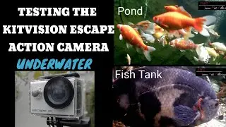 TESTING THE KITVISION ESCAPE ACTION CAMERA UNDERWATER