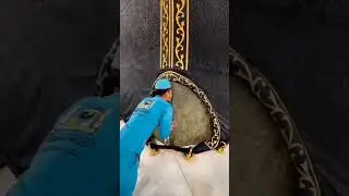 Masjid-Al-Haram Ke Khadim Kaaba Sharif Ka Bosa Lete Hue. 🤲❤  #shorts #kaaba #makkah #khadim #viral