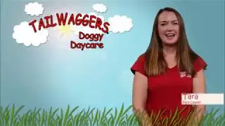TailWagger's Doggy Daycare - Dog Boarding During Vacations