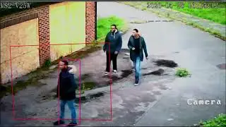 Intrusion Detection - WAMA VS2 Series Human/Vehicle AI Cameras
