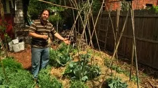 Permaculture Paradise: Alex's PermaGarden - Part 2