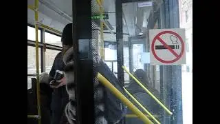 Путешествие в Лерую на Красносельской.