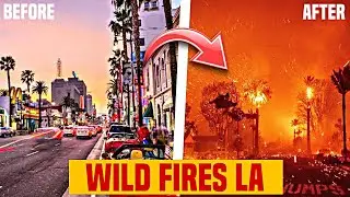 Celebrities' LOST EVERYTHING due to California Fire