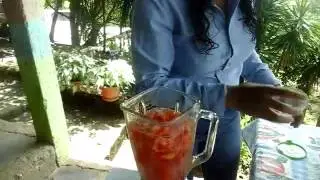 PROYECTO BICILICUADORA. UNIVERSIDAD NACIONAL DE AGRICULTURA (Ingenieria Alimentaria)T.A C18