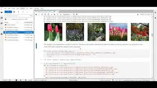 Classifying Images with a Linear Model