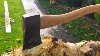 Cleaning up after storm Amy, 1 tree down and needs chopped up and cleared away. 