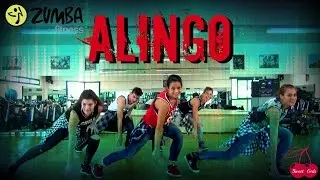 Alingo I Zumba&reg; Fitness I Sweet Girls Crew
