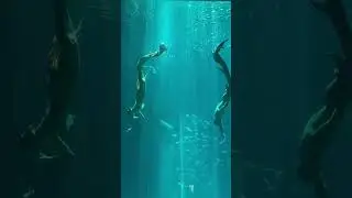 11.2. Шоу русалок в VinWonder на Фукуоке. Реалити 