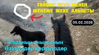 Кара Тайган жетип барды