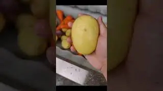 Carrot & Onion Washing + Peeling Machine 🥕🧅 | Built for Commercial Use#youtubeshorts  #machine