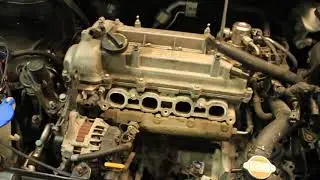 Veloster Intake Valve Cleaning and Throttle Body Upgrade