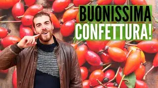 La ROSA che fa i FRUTTI, la rosa CANINA |conosciamo le piante|