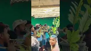එක නම් දෙනවා රිබන් ඇදෙන්න 🤍💥  ඉන්න අය දැක්කම ඉතින් සෙට් එක් ගැන කියන්න දෙයක් නෑ නේ. 💛😌