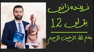زیندەزانی ١٢ بەندی دووەم کەرتی یەکەم دەست بەسەرداگرتنی لێدانی دڵ و سوڕی خوێن #زیندەزانی #پۆلی12