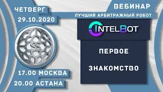 IntelBot - Первое знакомство