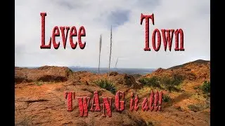 Levee Town &mdash; Twang It All