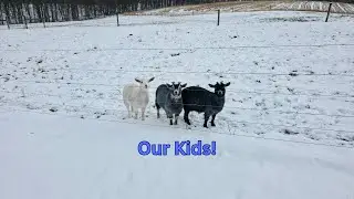 Our Kids