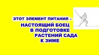 Этот элемент питания - настоящий боец невидимого фронта в подготовке растений сада к зиме