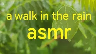 A Walk in the Rain | Pune | Monsoon ASMR | Peaceful Nature Sounds | no talking asmr
