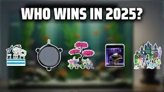 The Top 5 Best Aquarium Accessories in 2025 - Must Watch Before Buying!