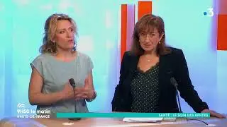 9h50, Le Matin, 2018 : Terdeghem, Le Steenmeulen, moulin de Flandre