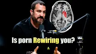 Why Porn Can Disrupt Real Intimacy - Dr Andrew Huberman