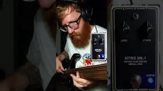Analog Music Company NTRS Fuzz on fretless bass 😍 #analogmusiccompany