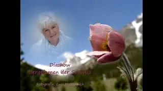 Bergblumen: Schweiz-Dolomiten-Werdenfelser Land