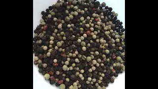 Peppercorns 101 - About White Pepper