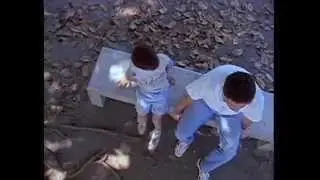 COBANI de Claudio Perrin (1998)
