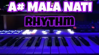 Pahadi Mala Nati Rhythm A# Major Mala Nati Loop B Flat Major