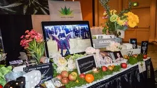 High Finance Meets: Stock Pot Images