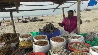 India's Biggest Dry Fish Market | All Types of Sea Dry Fish Selling | Digha Mohona West Bengal