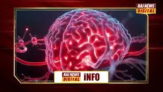 Organs that live even after death! | Human Body After Death | Shocking Science Facts Telugu |