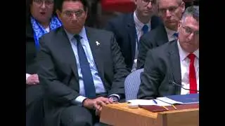 United Security Council (UNSC) Situation in Gaza - UNSC Aug 8th, 2025 UNHQ