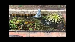 As well as my round fish pond I also built this small fish pond