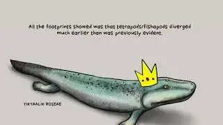 Whale Evolution Destroyed!! Best Evidence for Evolution is Falsified by Discovery Science