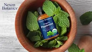 Organic Peppermint Essential Oil Uses | Nexon Botanics