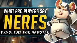 Overwatch HAMMOND NERF &mdash; Что думают профессионалы о Wrecking Ball