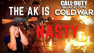 Cold War Beta! The Best Gun in the Game!