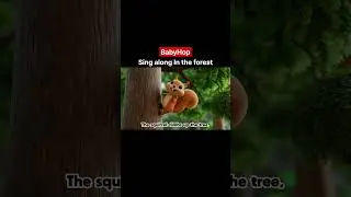 &hearts;️🎵 Sing along In the forest | BabyHop | shorts