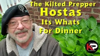 🌿 The Kilted Prepper - HOSTAS - IT'S WHAT FOR DINNER 🌿