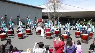 Taiko Performance - Seattle Japanese Cherry Blossom Festival